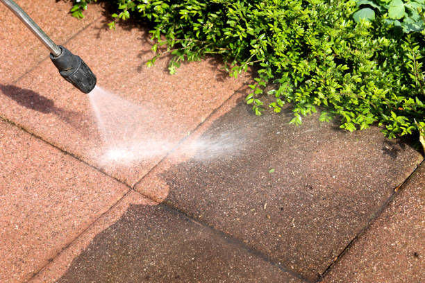 Best Pressure Washing Driveway  in Green Springs, OH